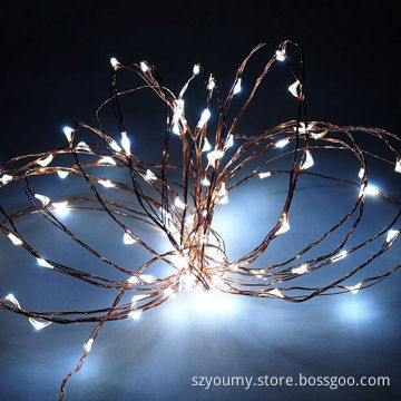 Waterproof 5M 50pcs LEDs, DC 12V, Silver Ccooper Wire LED String Light
